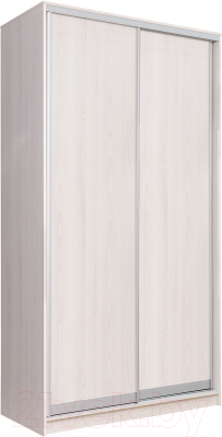 Шкаф Рэйгрупп 158 YYX Elgon РГ-10.03 - фото