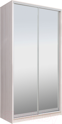 Шкаф Рэйгрупп 138 YYX Elgon РГ-11.04 - фото