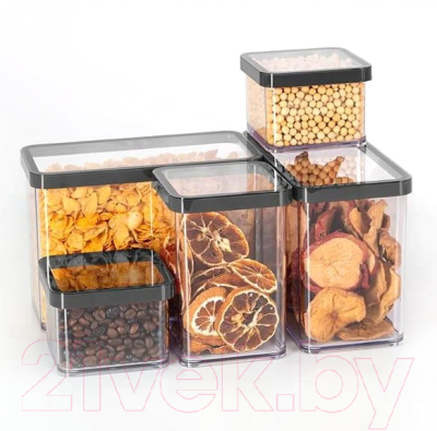 Емкость для хранения Rotho Loft Premium / 1160608080 (прозрачный/черный)