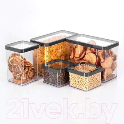 Емкость для хранения Rotho Loft Premium / 1160608080 (прозрачный/черный)