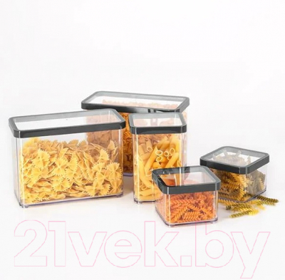 Емкость для хранения Rotho Loft Premium / 1160608080 (прозрачный/черный)