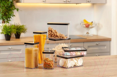 Емкость для хранения Rotho Loft Premium / 1160608080 (прозрачный/черный)