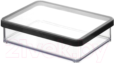 Емкость для хранения Rotho Loft Premium / 1160908080 (прозрачный/черный) - фото