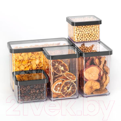 Емкость для хранения Rotho Loft Premium / 1160908080 (прозрачный/черный)