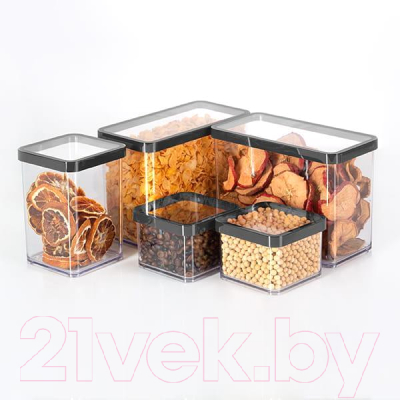 Емкость для хранения Rotho Loft Premium / 1160908080 (прозрачный/черный)