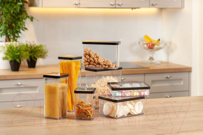 Емкость для хранения Rotho Loft Premium / 1160908080 (прозрачный/черный)