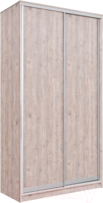 Шкаф Рэйгрупп 120 SSX Elgon РГ-12.03 - фото