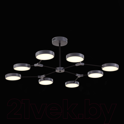 Люстра Evoluce SLE6003-702-08