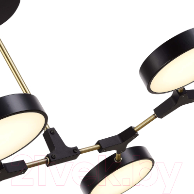 Люстра Evoluce SLE6004-402-06