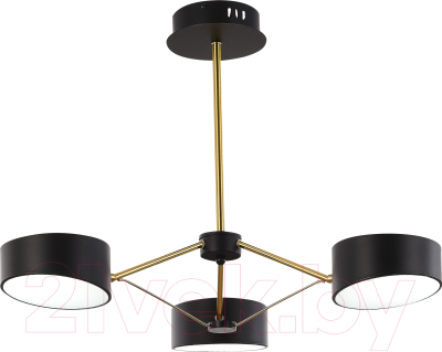 Люстра Evoluce SLE6005-402-03 - фото