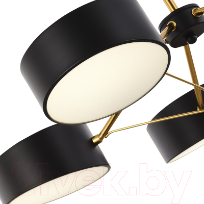 Люстра Evoluce SLE6005-402-03