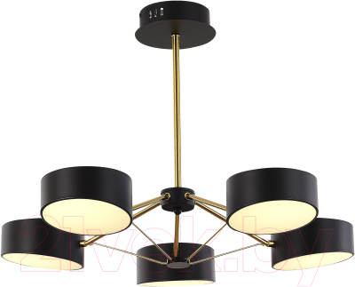 Люстра Evoluce SLE6005-402-05 - фото