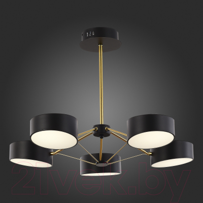 Люстра Evoluce SLE6005-402-05