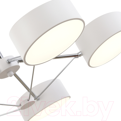 Люстра Evoluce SLE6005-502-05