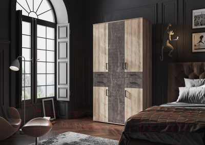 Шкаф Стендмебель Нельсон ШК 02 (железный камень/дуб каньон)