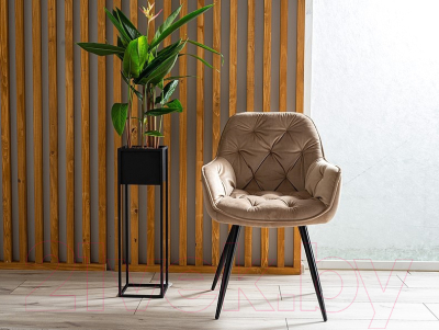 Стул Signal Cherry Velvet