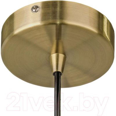 Потолочный светильник Lightstar Genni 798031