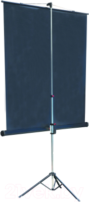 Проекционный экран Lumien Master View 244x244 / LMV-100105