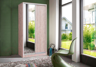 Шкаф-купе Рэйгрупп 158 TTX Elgon РГ-04.02