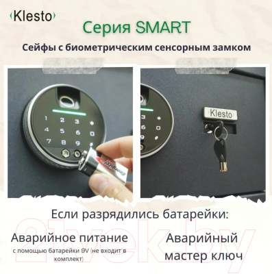 Мебельный сейф Klesto Smart 6R