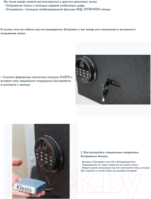 Мебельный сейф Klesto RS Bio-65T