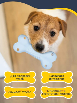 Игрушка для животных Fancy Pets Косточка / FPT1