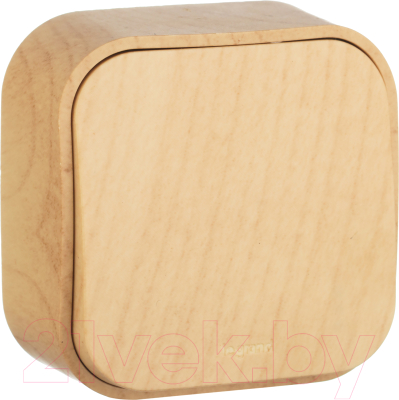 Выключатель Legrand Quteo 782260 - фото