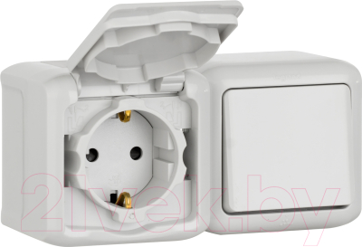 Блок выключатель+розетка Legrand Quteo 782348 - фото