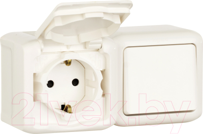 Блок выключатель+розетка Legrand Quteo 782318 - фото