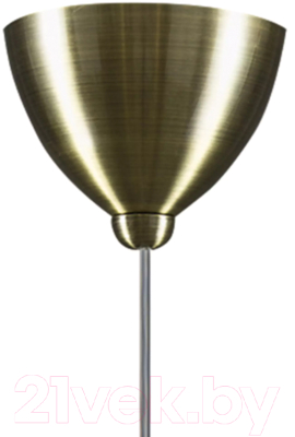 Потолочный светильник Lightstar Globo 813021