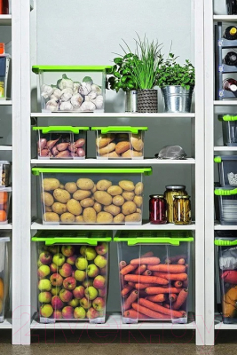 Контейнер для хранения Rotho Evo Safe / 1007805092