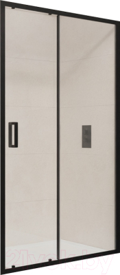 Душевая дверь RGW PA-016 / 350801612-14 - фото
