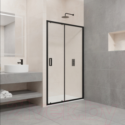 Душевая дверь RGW PA-016 / 350801612-14