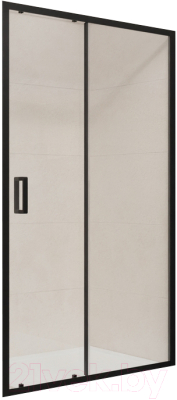 Душевая дверь RGW PA-016 / 350801618-14 - фото