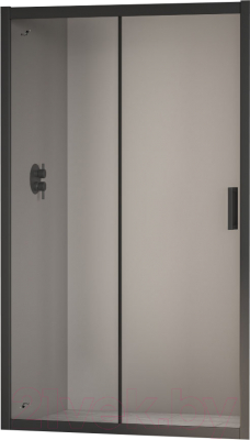 Душевая дверь RGW PA-016 / 350801617-14 - фото