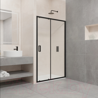 Душевая дверь RGW PA-016 / 350801616-14