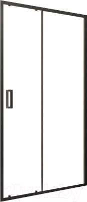 Душевая дверь RGW PA-016 / 350801615-14 - фото