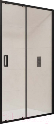 Душевая дверь RGW PA-016 / 350801613-14 - фото