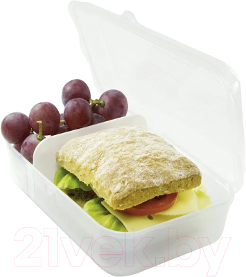 Контейнер Rotho Fun Snack Box / 1111800096