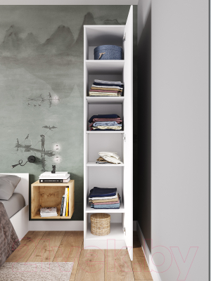 Шкаф ДСВ Мори МШ 400.1