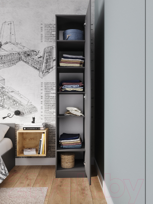 Шкаф ДСВ Мори МШ 400.1