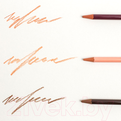 Набор цветных карандашей Малевичъ 197901