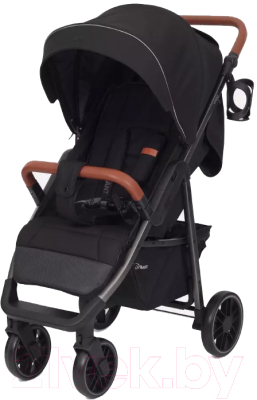 Детская прогулочная коляска Rant Vega 2023 / RA057 (черный) - фото