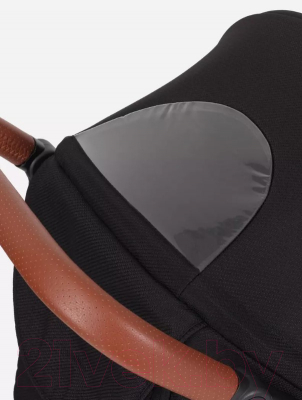 Детская прогулочная коляска Rant Vega 2023 / RA057 (черный)