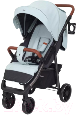 Детская прогулочная коляска Rant Vega 2023 / RA057 - фото