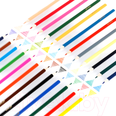 Набор цветных карандашей ArtSpace Лесные жители / CP_46638