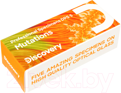 Набор микропрепаратов Levenhuk Discovery Prof DPS 5 Мутации / 78411 - фото