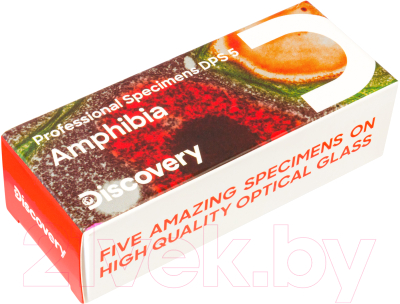 Набор микропрепаратов Levenhuk Discovery Prof DPS 5 Амфибия / 78413 - фото