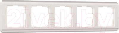 Рамка для выключателей и розеток Werkel W0052113 - фото