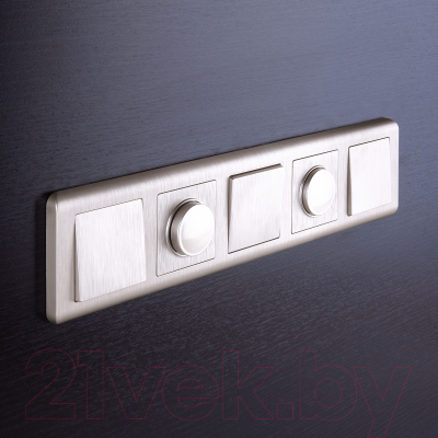 Рамка для выключателей и розеток Werkel W0052113